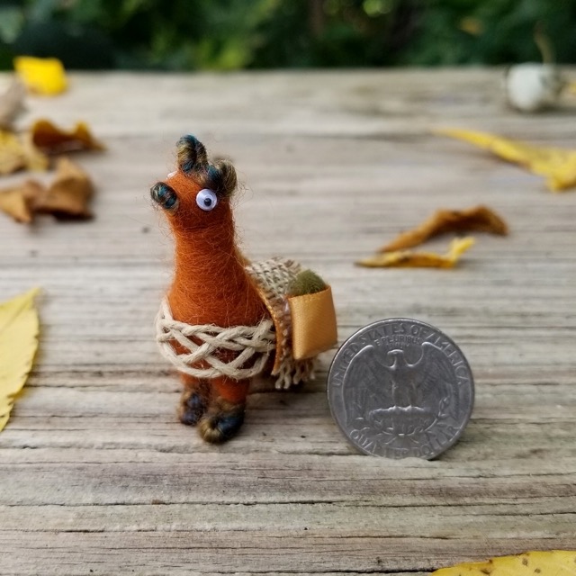 A miniature llama next to a quarter